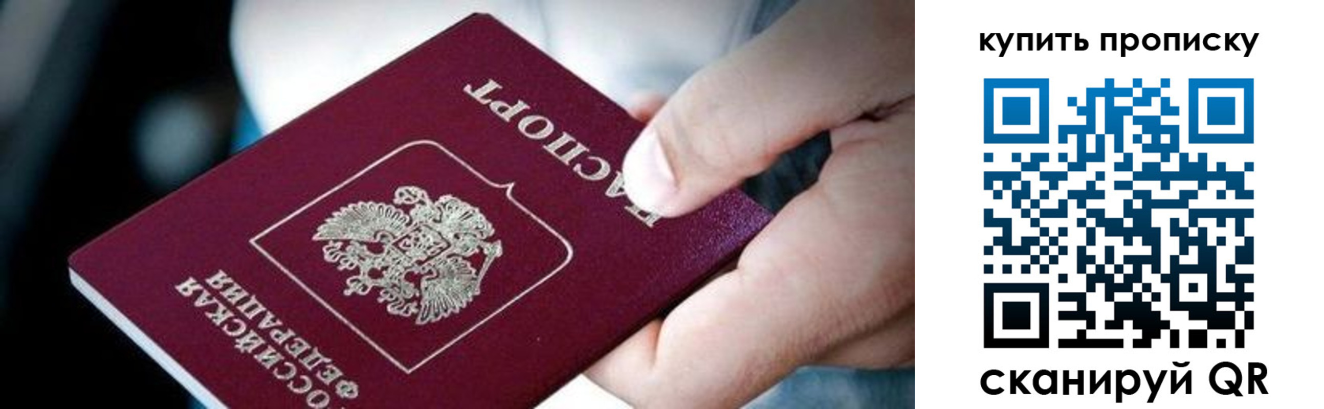 прописка поиск в Чудово