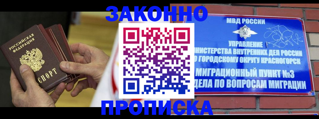 прописка для школы в Чудово